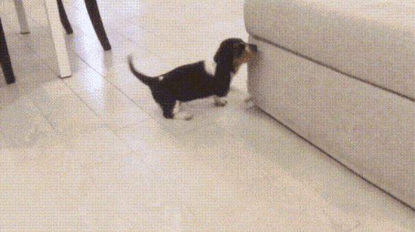 Просто гифки, всякие и&nbsp;разные