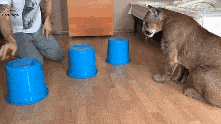 Просто гифки, всякие и&nbsp;разные