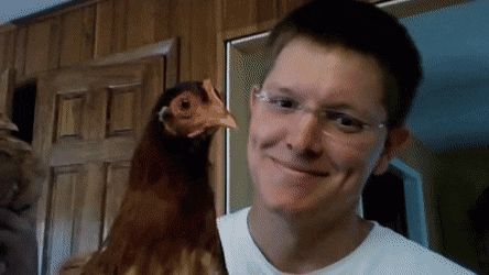 Просто гифки, всякие и&nbsp;разные