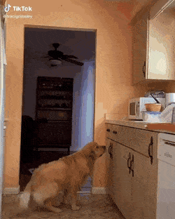 Просто гифки, всякие и&nbsp;разные