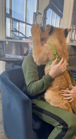 Просто гифки, всякие и&nbsp;разные