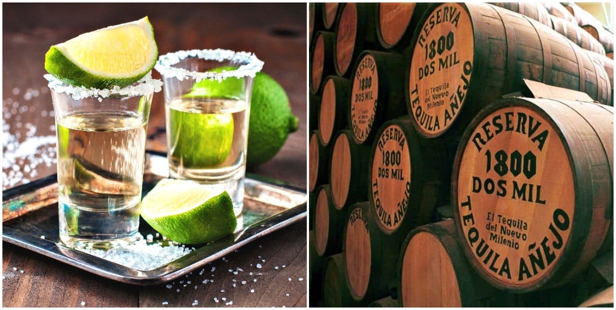 В Мексике скопились небывалые запасы текилы, которые некуда деть