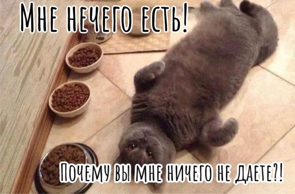 Каждой твари по комнате