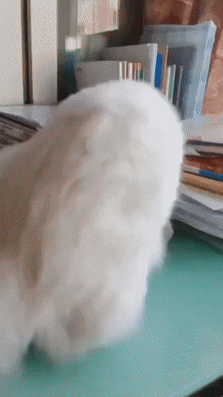 Просто гифки, всякие и&nbsp;разные