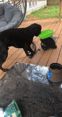 Просто гифки, всякие и&nbsp;разные