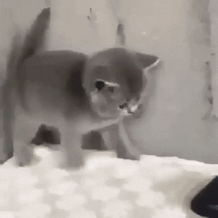 Просто гифки, всякие и&nbsp;разные