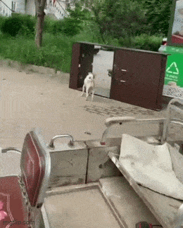 Просто гифки, всякие и&nbsp;разные