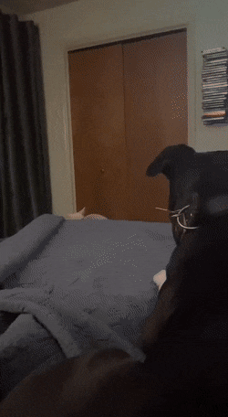 Просто гифки, всякие и&nbsp;разные