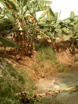 Просто гифки, всякие и&nbsp;разные