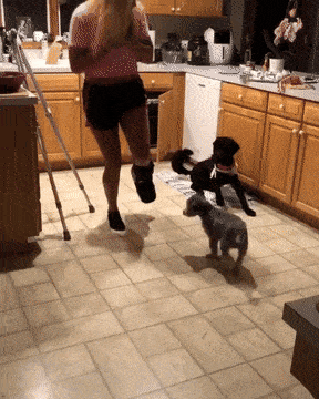 Просто гифки, всякие и разные Просто гифки, всякие и разные