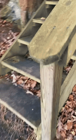 Просто гифки, всякие и разные Просто гифки, всякие и разные