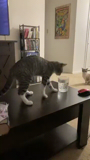 Просто гифки, всякие и разные Просто гифки, всякие и разные