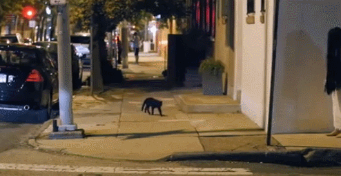 Просто гифки, всякие и разные Просто гифки, всякие и разные