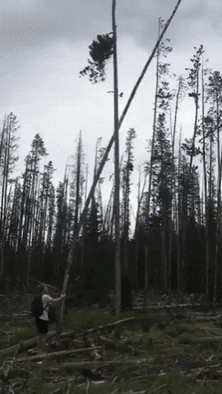 Просто гифки, всякие и разные Просто гифки, всякие и разные