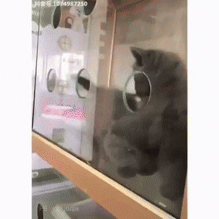 Просто гифки, всякие и разные Просто гифки, всякие и разные