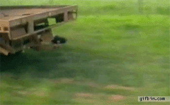 Просто гифки, всякие и&nbsp;разные