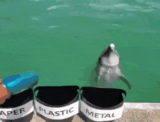 Просто гифки, всякие и&nbsp;разные