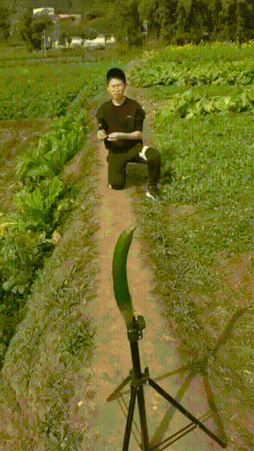 Просто гифки, всякие и&nbsp;разные