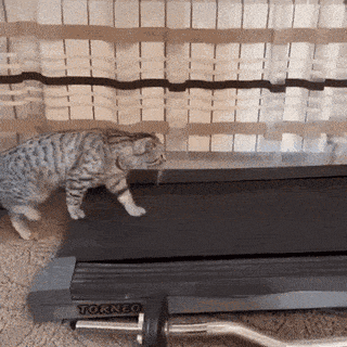 Просто гифки, всякие и&nbsp;разные