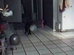 Просто гифки, всякие и&nbsp;разные