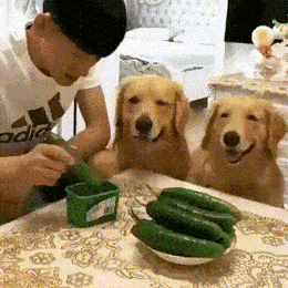 Просто гифки, всякие и&nbsp;разные