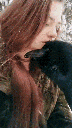 Просто гифки, всякие и разные Просто гифки, всякие и разные