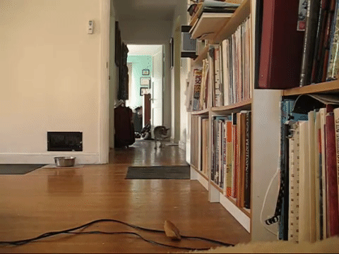 Просто гифки, всякие и разные Просто гифки, всякие и разные