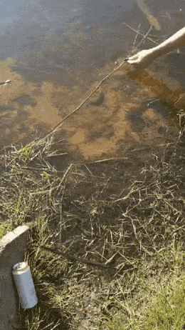 Сначала прикармливает, а потом на шее пригреет