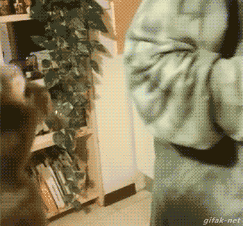 Просто гифки, всякие и разные Просто гифки, всякие и разные