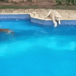 Просто гифки, всякие и разные Просто гифки, всякие и разные