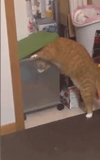 Просто гифки, всякие и разные Просто гифки, всякие и разные