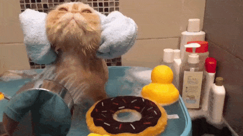 Просто гифки, всякие и&nbsp;разные