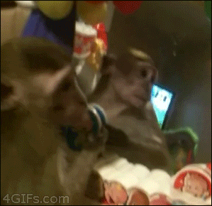 Просто гифки, всякие и&nbsp;разные