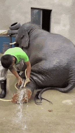 Просто гифки, всякие и разные Просто гифки, всякие и разные