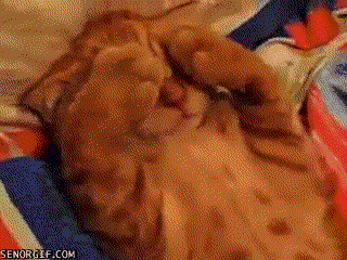 Просто гифки, всякие и разные Просто гифки, всякие и разные