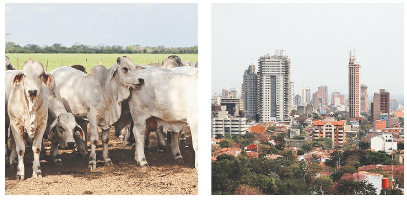 Парагвай: страна, совершившая самоубийство