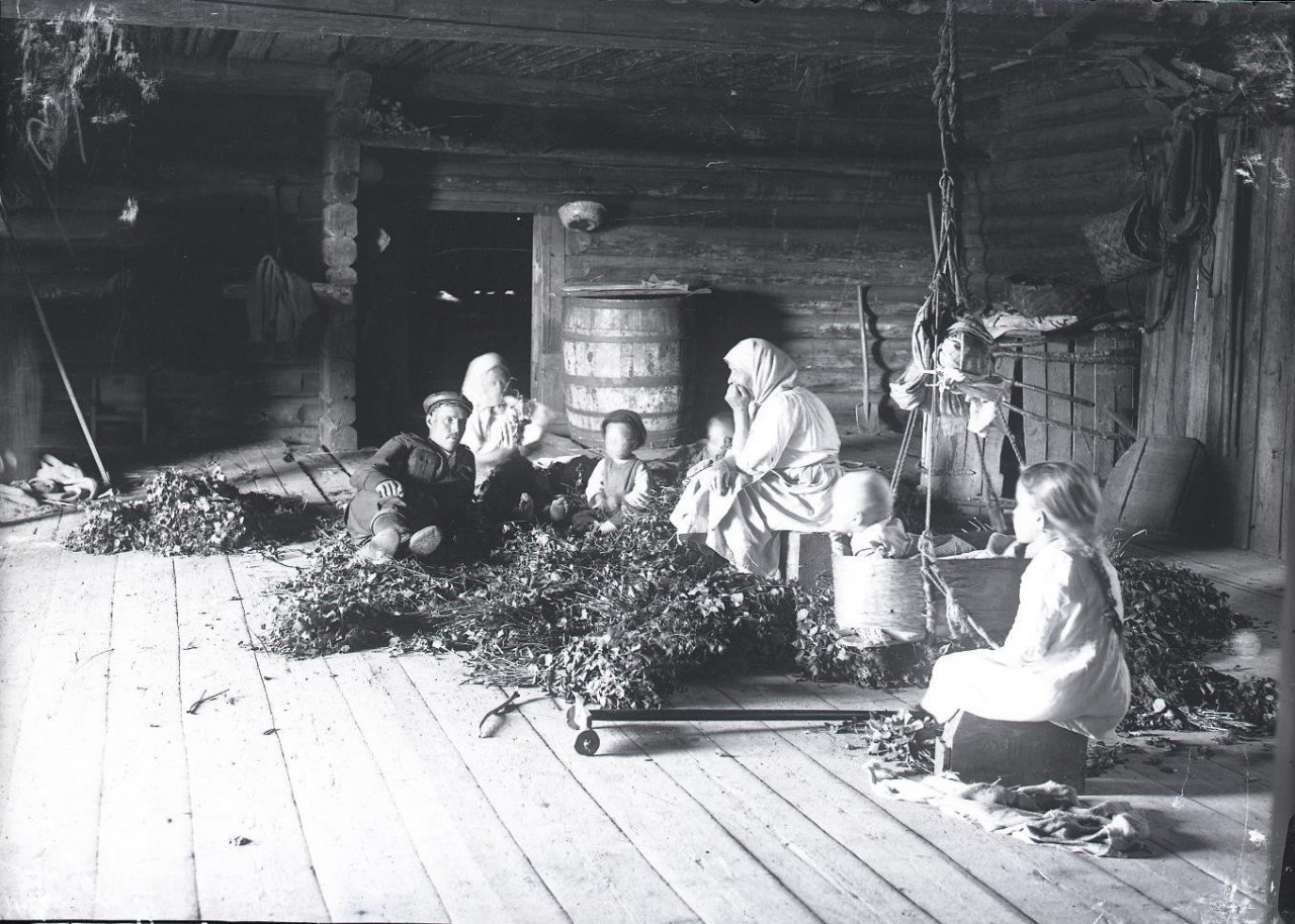 Крестьяне за вязанием веников. Карелия, Видлицы, 1927.  Автор А. А. Беликов