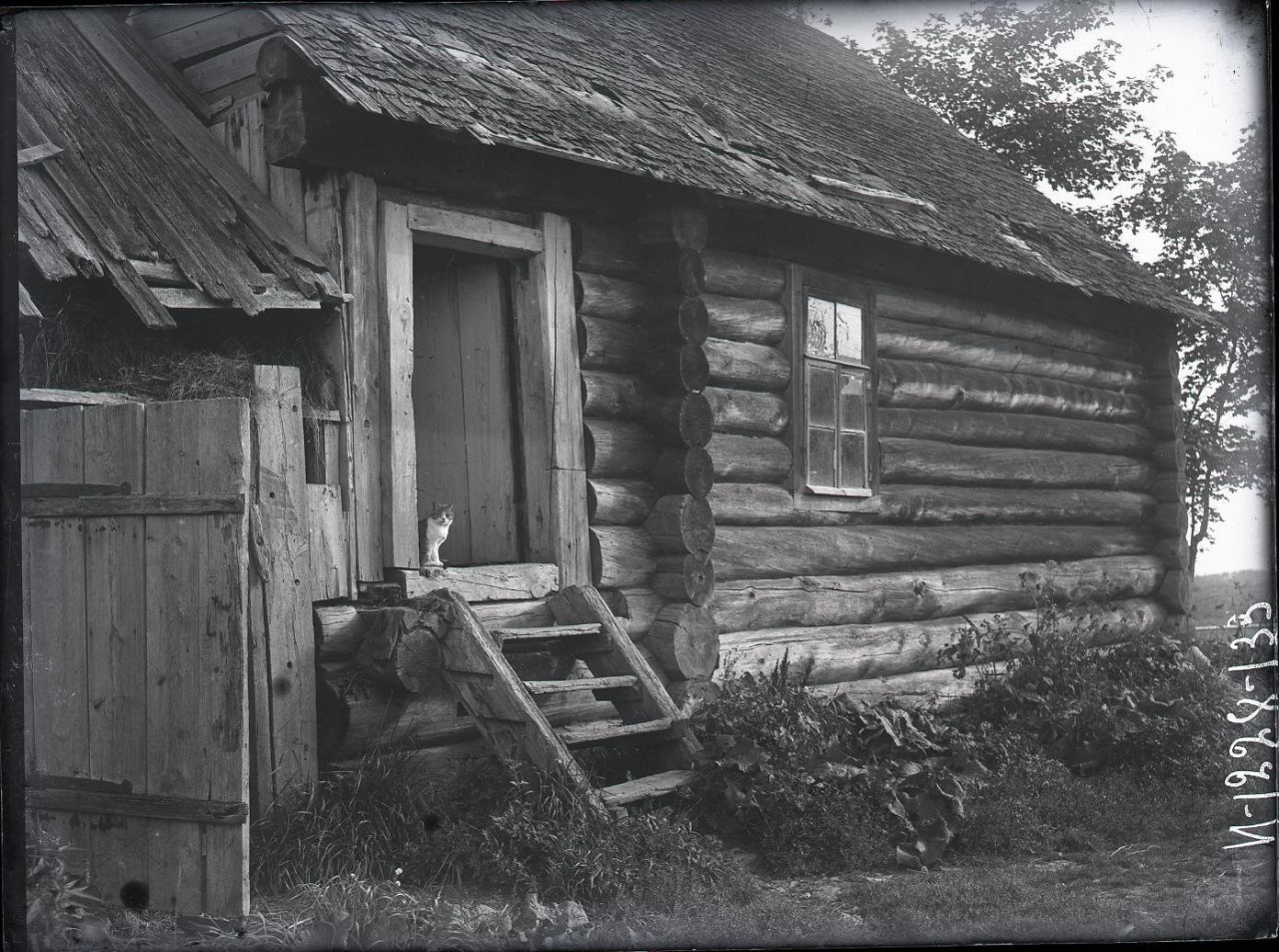 Крыльцо дома Павловой-Бодровой, Ленинградская область, 1925. Автор А. А. Беликов