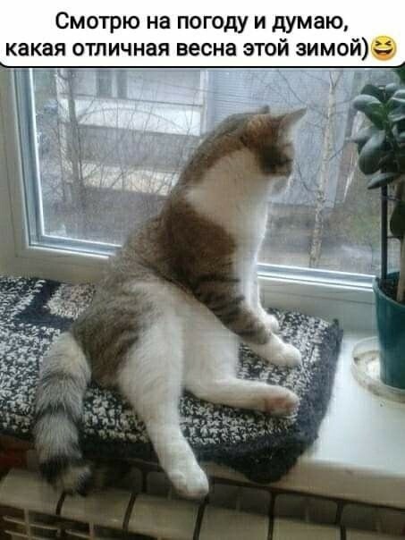 Привет, агрессоры!!! Всем отличного настроения!!!