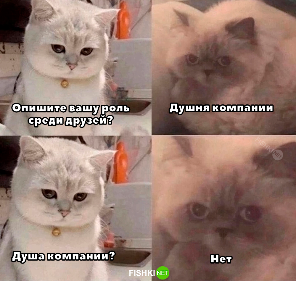 Улыбатор от NAZARETH за 02 февраля 2025