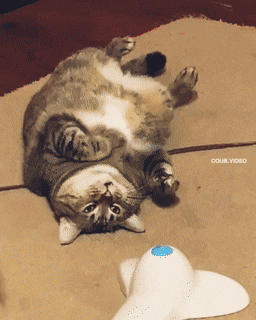 Просто гифки, всякие и&nbsp;разные