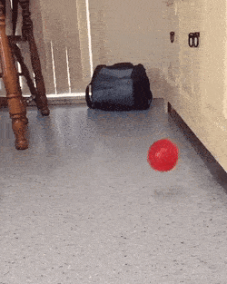 Просто гифки, всякие и&nbsp;разные