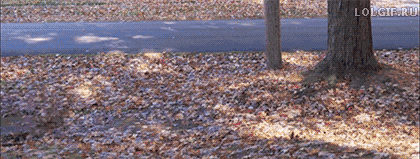 Просто гифки, всякие и&nbsp;разные