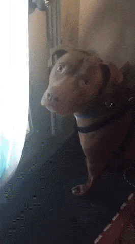 Просто гифки, всякие и&nbsp;разные