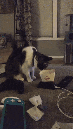 Просто гифки, всякие и&nbsp;разные