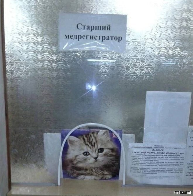 Секрет виктора прикол с трусами фото