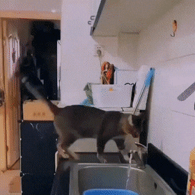 Просто гифки, всякие и&nbsp;разные