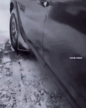 Просто гифки, всякие и&nbsp;разные