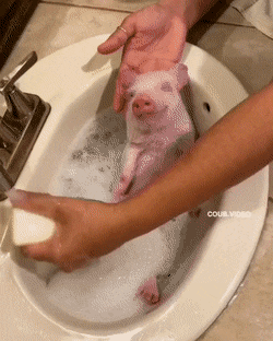 Просто гифки, всякие и&nbsp;разные