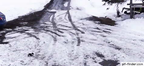 Просто гифки, всякие и разные Просто гифки, всякие и разные